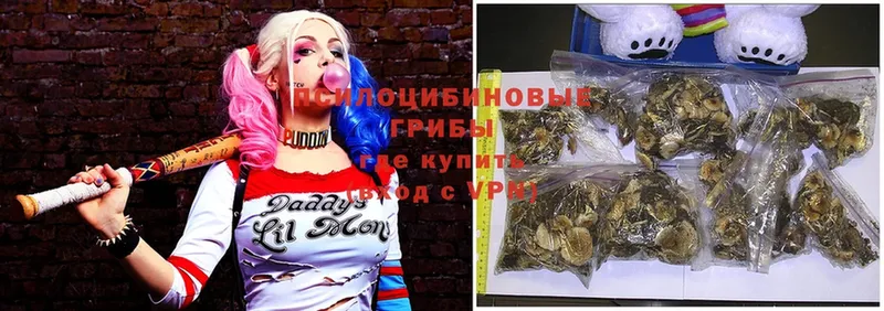 Псилоцибиновые грибы Magic Shrooms  где продают   Тосно 